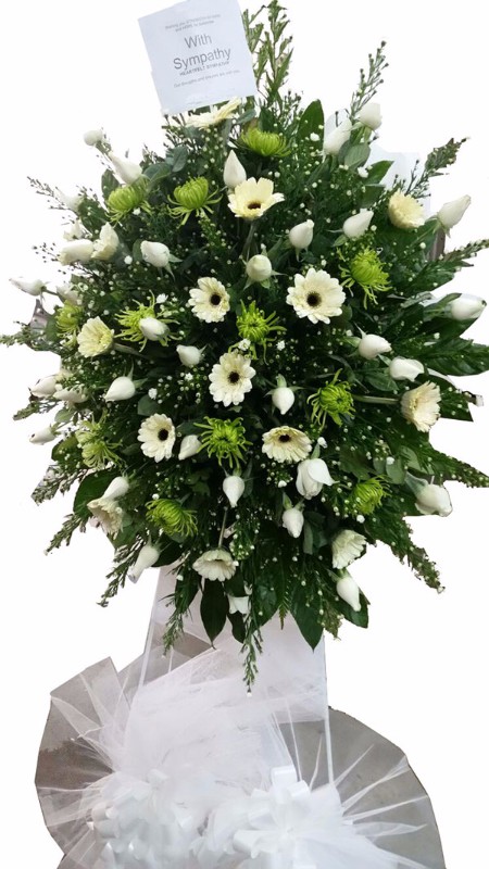 BLOOMING FLORIST SDN BHD - Star Cherish