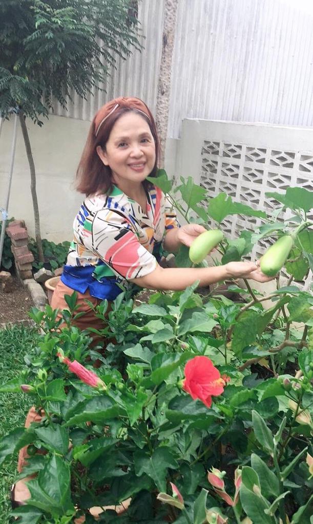 PUAN SRI DATIN SERI CHEONG GUEK MEE