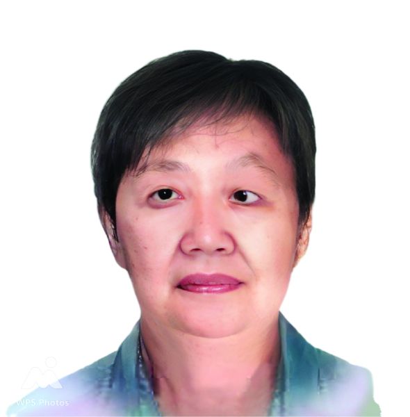 Madam Low Mei Choo